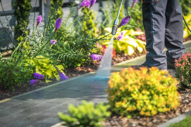 Best Sidewalk and Walkway Cleaning  in Strum, WI